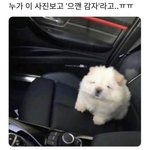 [드루와] 옆집에서 ㅈㄴ이상한노래<b>부름</b>