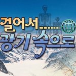 [드루와] 새 강아지 이름 죽은 강아지 이름으로