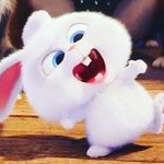 복코 <b>쉐딩</b> 어떻게하냐