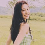 조이 솔로 좋은점이