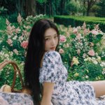 조이 <b>쥬</b>뗌므 티저 미쳤네