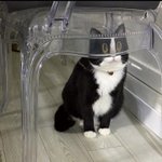 내 본진 핵<b>인싸</b>임