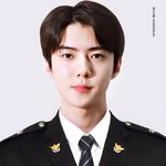 [드루와] 야 나 이거 오세훈 <b>증사</b>로 뽑을까?