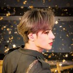 [더보이즈] 열심히 사랑하자고