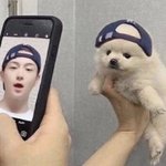 [더보이즈] 고독방에서 들고 왔는데