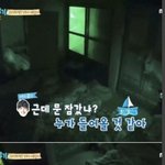 캐럿 와<b>바바</b>