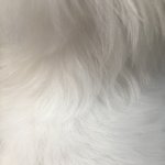 [NCT즌] <b>예사</b> 뒷태가 아니시다
