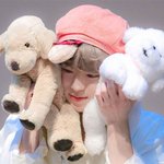 <b>확신</b>의 강아지상 in 男돌