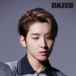 [세븐틴] 원우 ㄷㅇㅈㄷ 화보컷 올라온 거 중에 이거