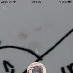 [NCT즌] 아 ㅋㅋㅋㅋ 존1나 <b>기여워</b>