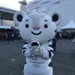 <b>수호</b>랑 <b>수호</b>