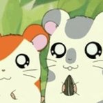 얘들아 너네 사주 믿어?