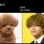 [방탄소년단] <b>뮤스</b>하다보니 어지럽다