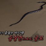 [NCT즌] 진짜 김도영 개<b>투명</b>하넼ㅋㅋㅋㅋㅋㅋㅋㅋ