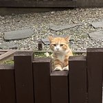 지금샤워하면<b>민폐</b>임?
