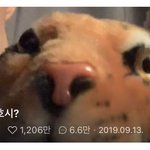 [세븐틴] 뿌앱 <b>제목</b> ㄹㅈㄷ는 이거같음
