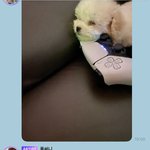 [NCT즌] <b>저때</b> ㄹㅇ심장 멎을 뻔