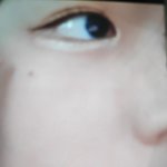 <b>유</b>쌍무<b>쌍</b>