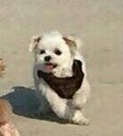 [NCT즌] <b>화질</b>은 구린데 짱귀여움