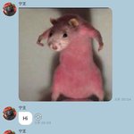 [NCT즌] 아 sc후배 버블 웃겨디지겠네 ㅋㅋㅋㅋㅋㅋ