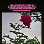 중2 여동생 <b>페북</b> 스토린데 말려야되나..