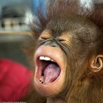 으아아아아아아아아아아아아아아아아아아애<b>아악</b>!!!!!!!!!!!!!!!!!...