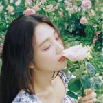 [엔터톡] 조이 앨범 진짜 이번에 대박 나면 좋겠다 레벨 솔로도...