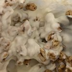 [NCT즌] 누가 <b>조리</b>퐁 요플레랑 먹으면 맛있댓냐