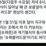 세계관 <b>철저</b>한 컨셉 지독하게 좋다