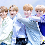 [NCT즌] 얘네 머리색 다 똑같아ㅋㅋㅋㅋㅋ