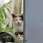 [<b>빛삭</b>예정] 나 시 평가 좀