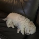 [NCT즌] <b>Zzzzzz</b>