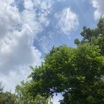 [댓글부탁해] 인스타 <b>해시</b>태그 공유해주면 공유랑 결혼함