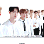 [NCT즌] 내가 엔시티 좋아하는 이유