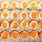 다이어트 할 때 <b>식단</b> 운동중에 뭐가 더 중요해??