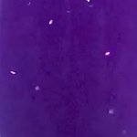 [NCT즌] 오늘 검정<b>비닐</b>바지 입은애들