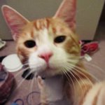 [추반] 전정국은 메<b>보급</b> 절대아니다vs 맞다