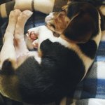 [NCT즌] <b>벨라</b> 땜에 샤블 못 끊겠어