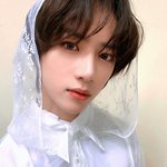 [TXT] 진짜 이 사진은