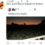 [TXT] 아ㅋㅋㅋㅋ 캐해<b>만렙</b>