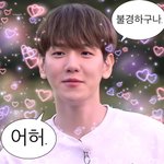 역시 <b>변백현이</b> 아니라 내가 문제야