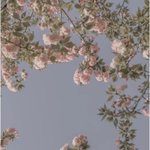 [19] 남친이 보낸 톡 <b>초성</b>풀이 좀ㅠㅠㅠㅠㅠㅠㅠㅠㅠㅠ
