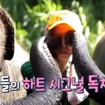 코끼리한테 <b>물폭탄</b> 맞는 송민호