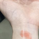 [드루와] 내<b>취향</b>!립색 공유;o