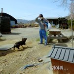[NCT즌] <b>이</b>마크도 귀여운거 보면 마빡<b>침</b>