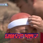 고3 <b>호구</b>조사