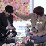 숑젱 <b>주식</b> 사놔 빨리
