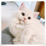 이거 닮은 <b>짝녀</b> ㅂㄱㅅㅇ