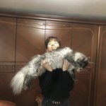 투펨 준호 나혼산 나온거 봤냐