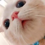 [드루와] 나 수학 1등급임 질문 ㄱ